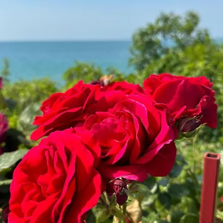 Sea Paradise 2-room Seafront In Sveti Vlas * 부르가스