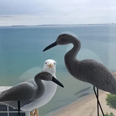 아파트 Sea Paradise 2-room Seafront In Sveti Vlas